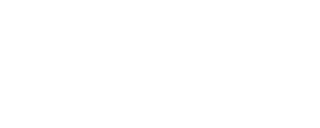 Trendyol Süper Lig